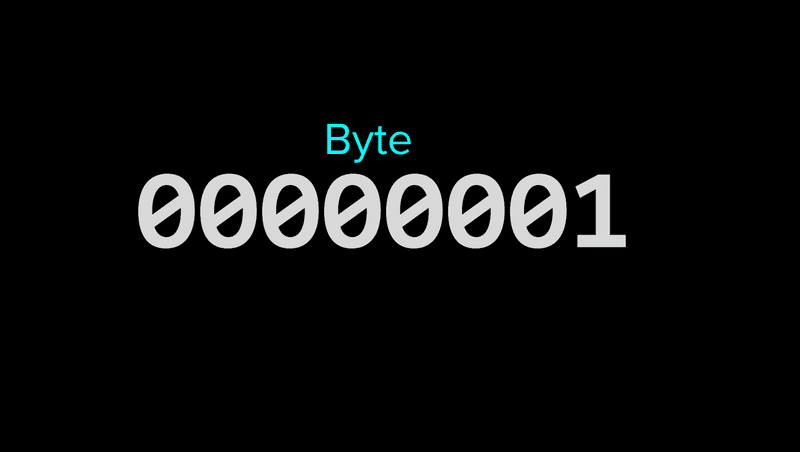 a byte